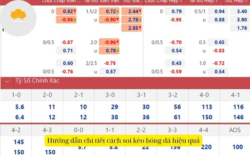 Hướng dẫn chi tiết cách soi kèo bóng đá hiệu quả