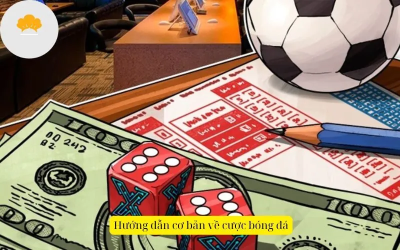 Hướng dẫn cơ bản về cược bóng đá