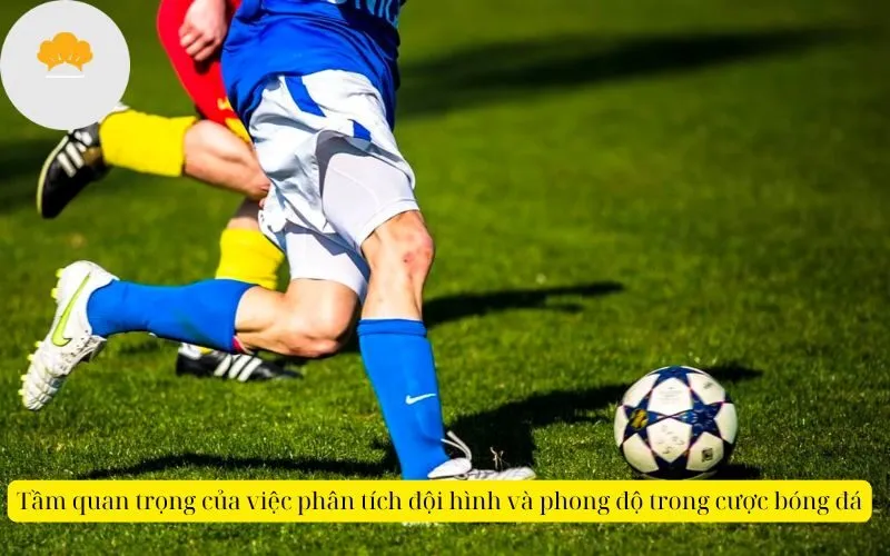 Tầm quan trọng của việc phân tích đội hình và phong độ trong cược bóng đá