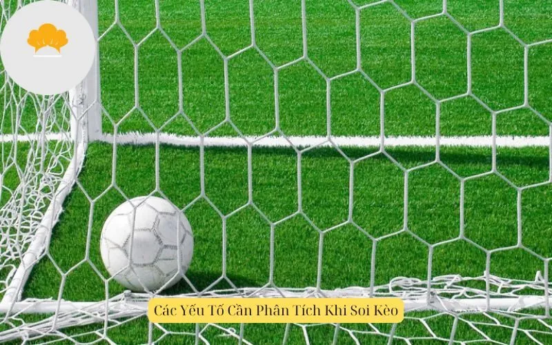 Các Yếu Tố Cần Phân Tích Khi Soi Kèo