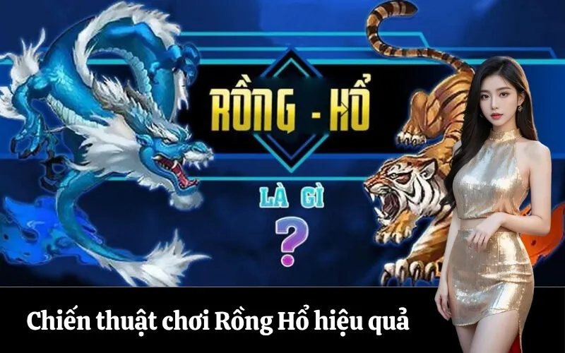 Chiến thuật chơi Rồng Hổ hiệu quả