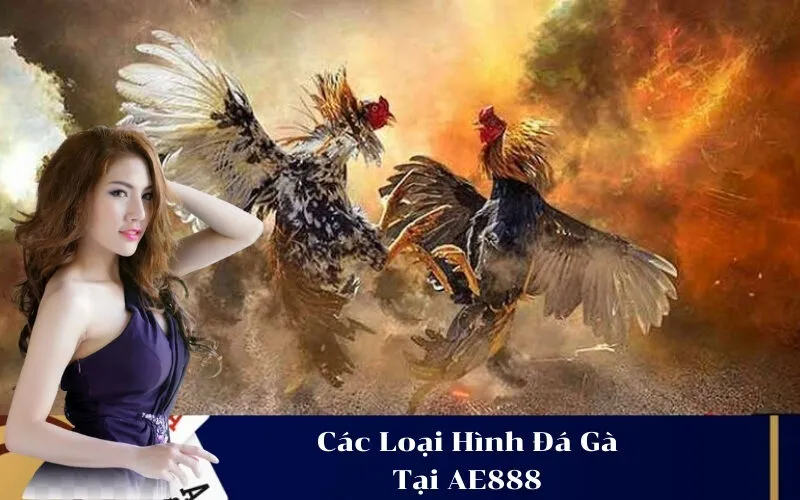 Các Loại Hình Đá Gà Tại AE888